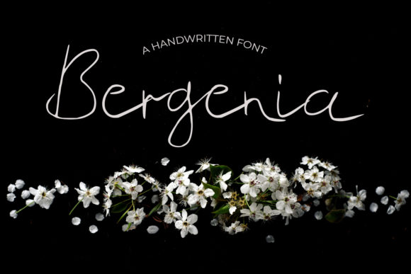 A Designer's Review of the Bergenia Font