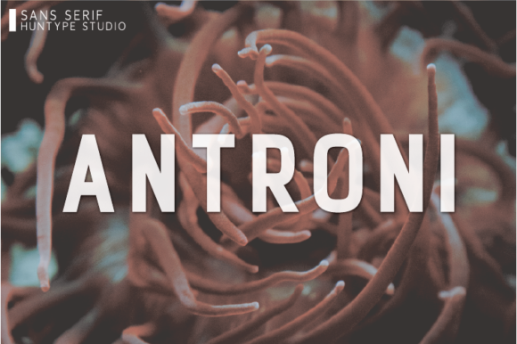 Antroni: A Bold Sans Serif Font for Professional Branding