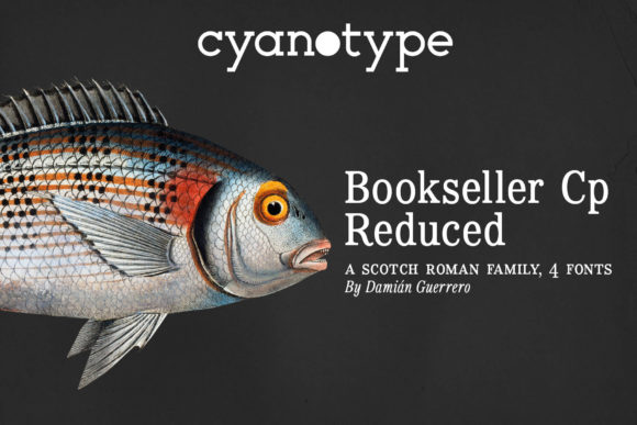 Bookseller Cp Reduced: The Serif Font for Modern Digital Design