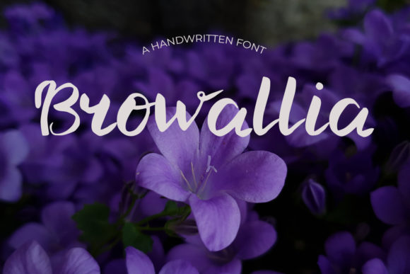 Browallia: A Dainty Handwritten Font for Creative Product Design