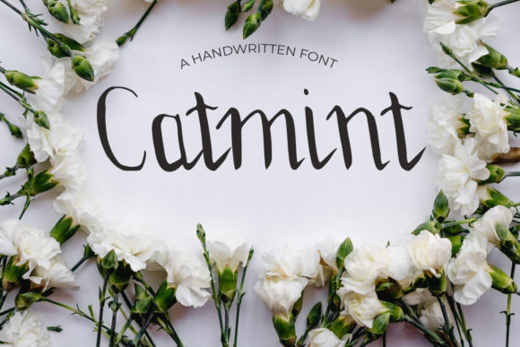 Catmint Font: Your Guide to Downloading & Using This Elegant Script