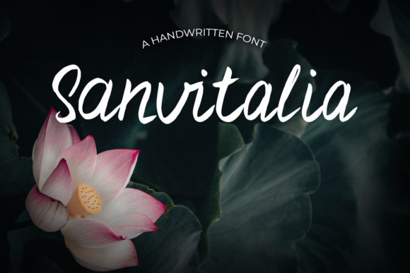 How Sanvitalia Became My Secret Weapon for Personal Campaigns