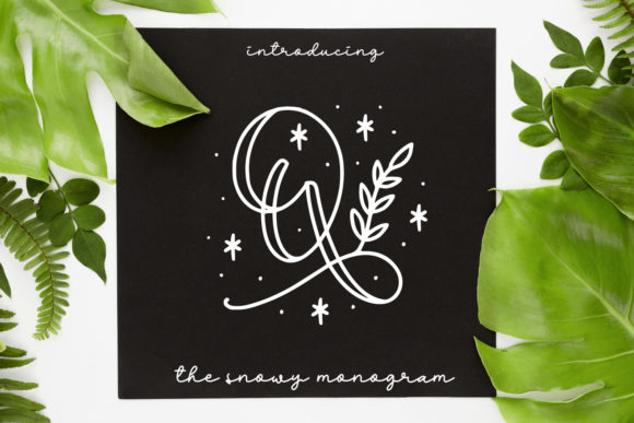 Quinn Monogram: A Festive Decorative Font for Creative Branding