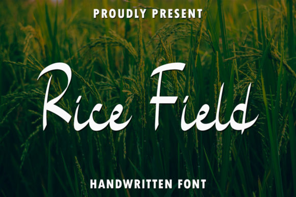 Rice Field: A Delicate Font for Editorial Identity
