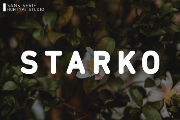 Starko: A Bold Sans Serif Font for Digital Projects