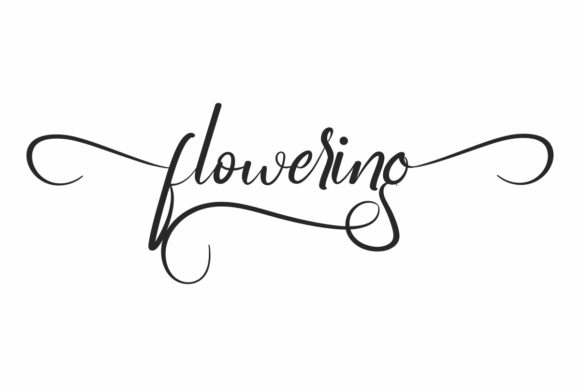 The Flowering Font: Adding Elegance to Your Brand Materials