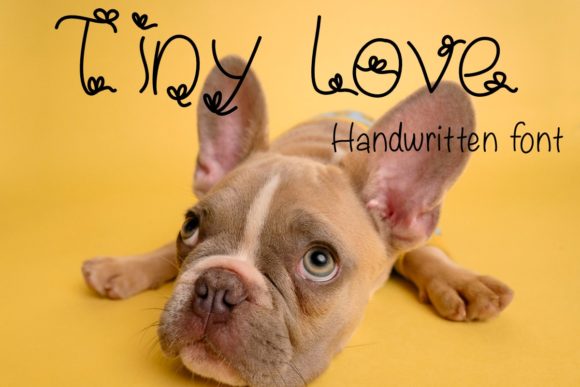 Tiny Love: A Review of a Cute and Unique Decorative Font