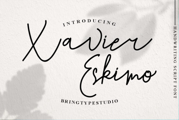 Xavier Eskimo: A Premium Font for Clear Campaign Messages